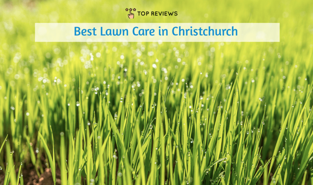 Best Lawn Care in Christchurch