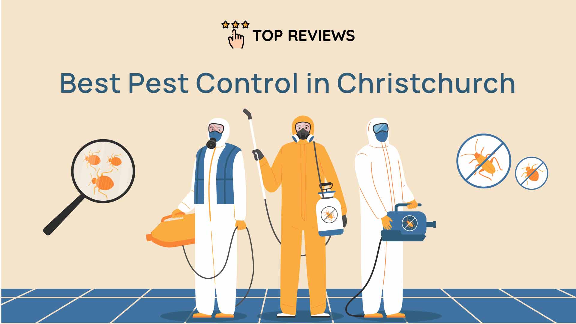 Best Pest Control in Christchurch