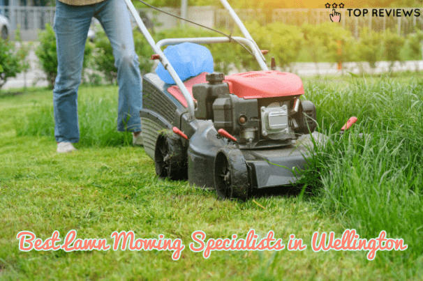 Best Lawn Mowing Specialists in Wellington