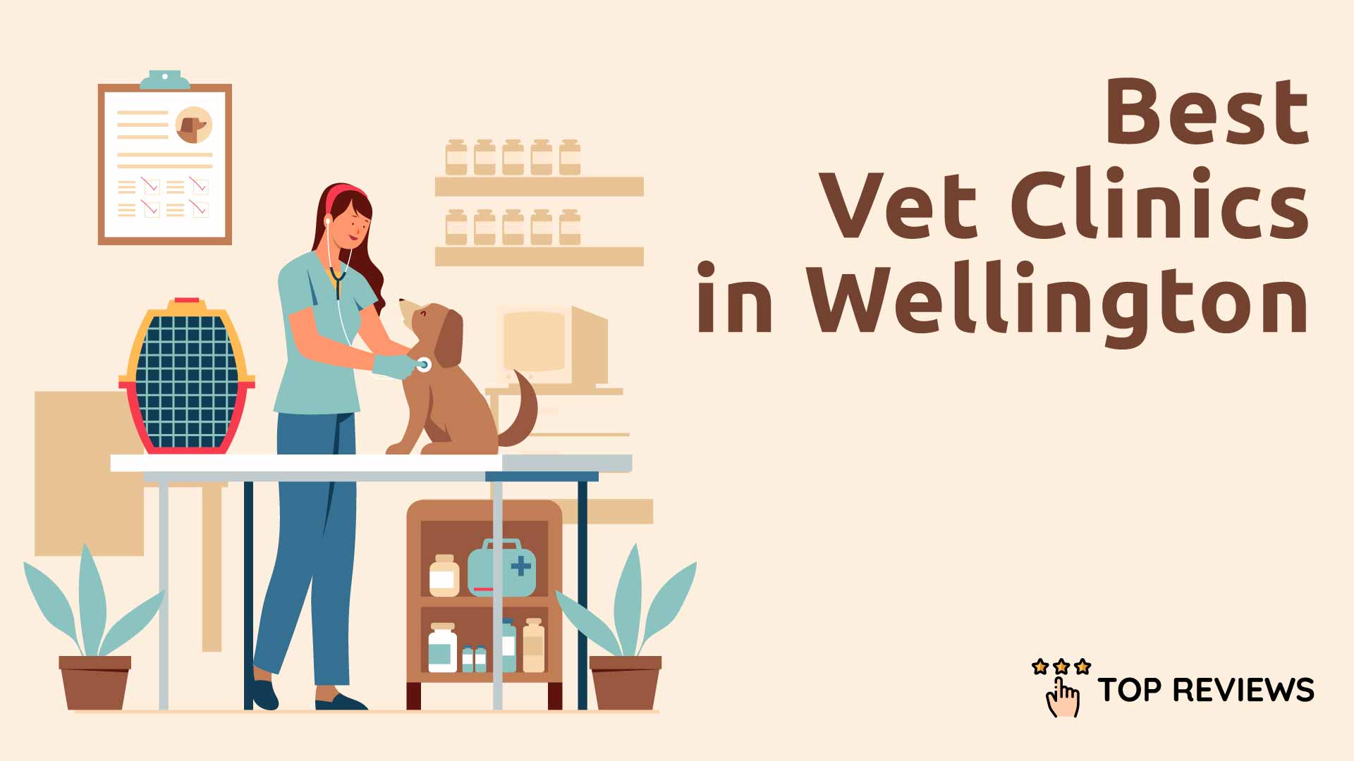 Best Vet Clinics in Wellington