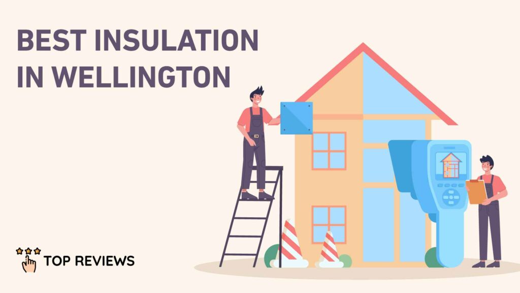 Best Insulation in Wellington
