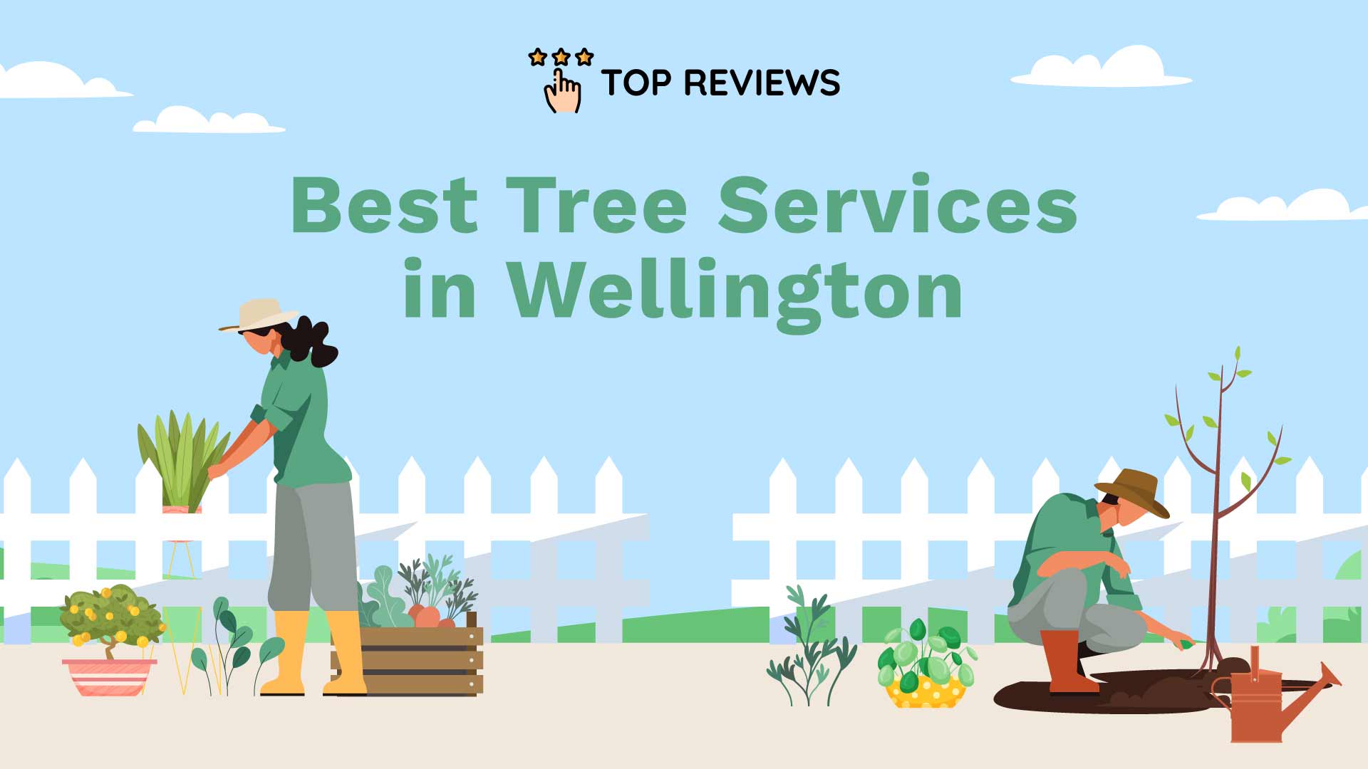 Best Tree Services in Wellington