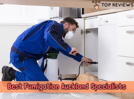 Best Fumigation Auckland Specialists