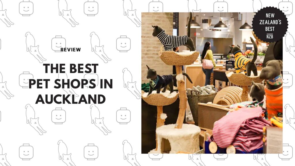 The 16 Best Pet Shops in Auckland