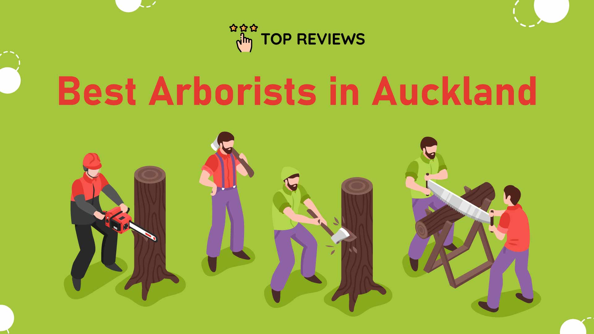 Best Arborists in Auckland