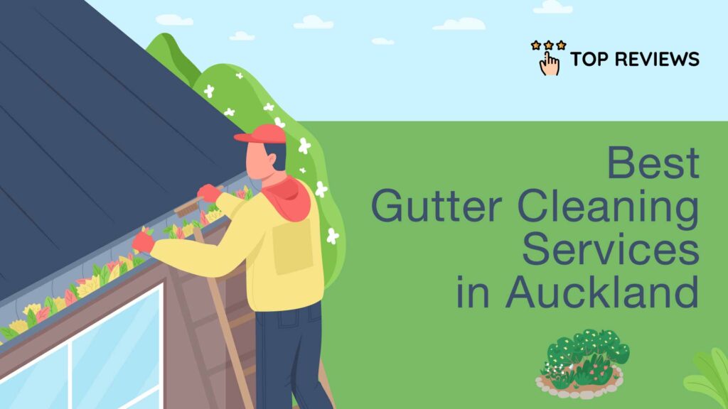 Best Gutter Cleaning Services in Auckland