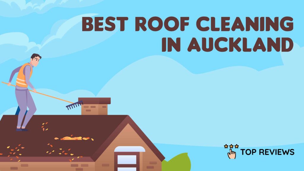 Best Roof Cleaning in Auckland