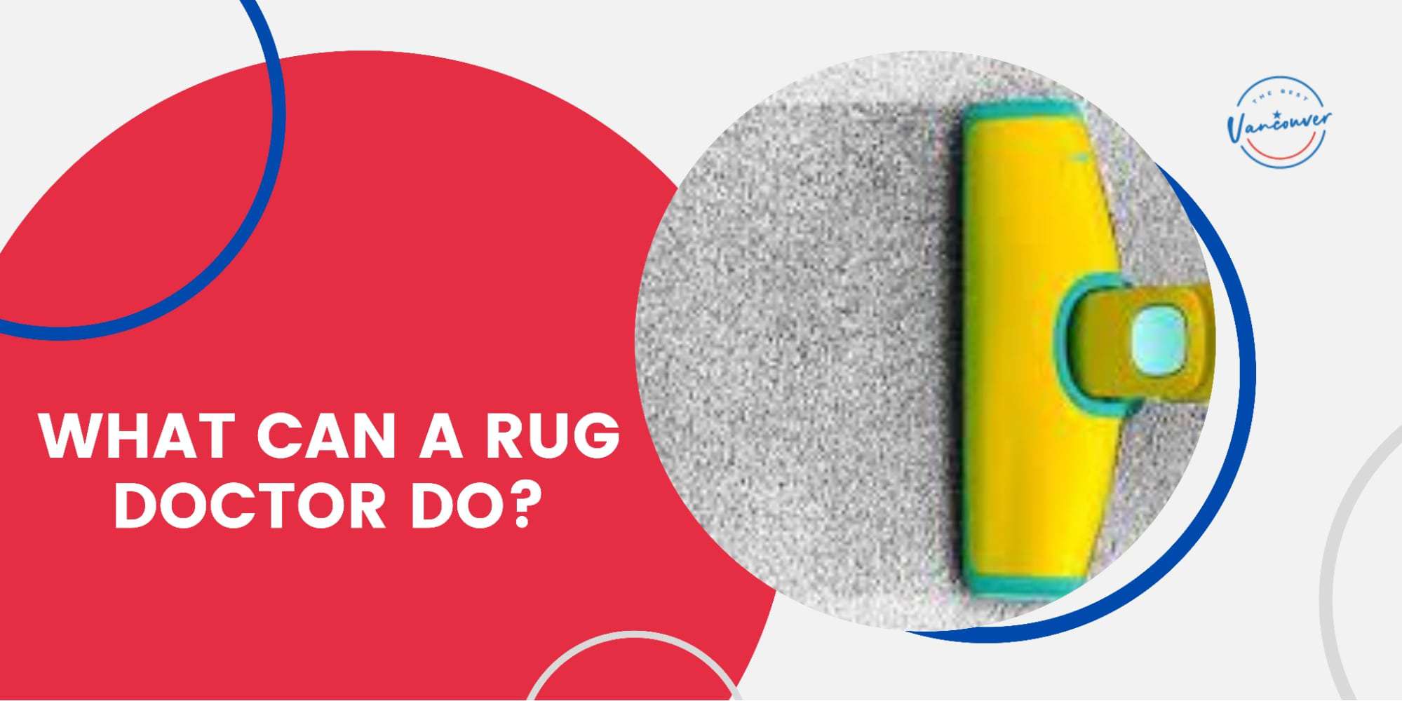 The Kiwi’s Guide to Using a Rug Doctor [2026 ]