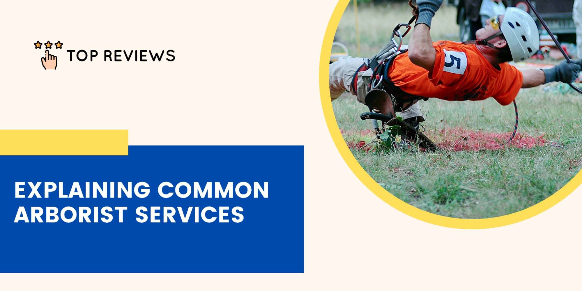 What services does an arborist offer