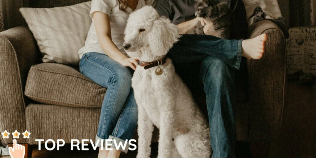 10 Fun Indoor Activities for Couples in Wellington