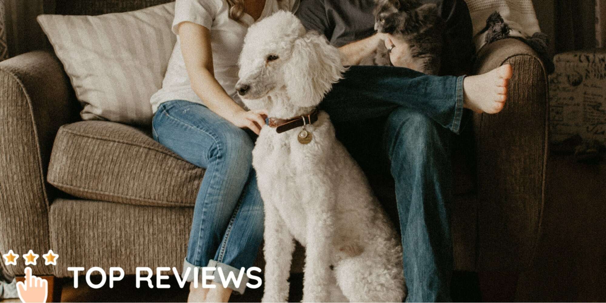 10 Fun Indoor Activities for Couples in Wellington