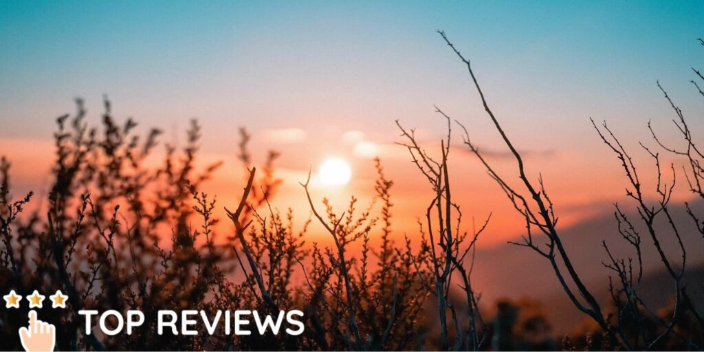 10 Amazing Places in Christchurch to See the Sunrise