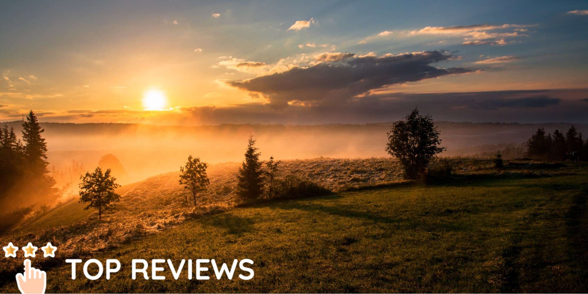 The 10 Best Places in Wellington to Watch the Sunrise