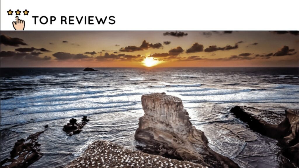 What Makes Muriwai Special