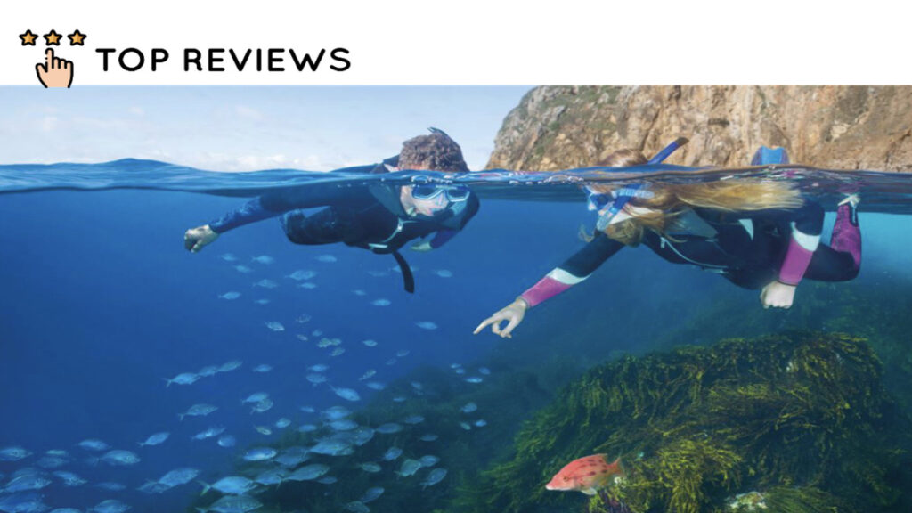 Where to Snorkel on Waiheke Island