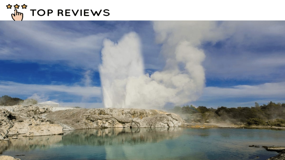 Difference Between Te Puia and Whakarewarewa