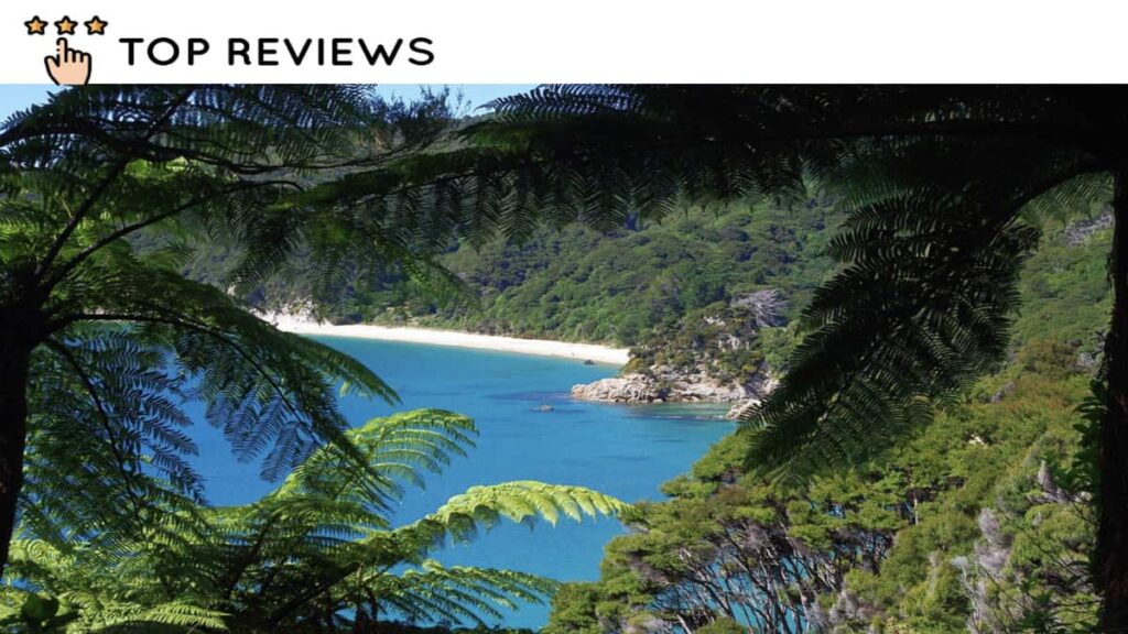 Ultimate Guide to Abel Tasman National Park