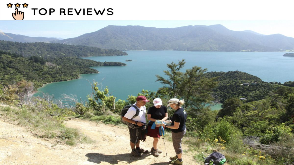 Ultimate Guide to Queen Charlotte Track