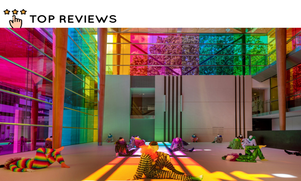 Best Art Galleries in Auckland