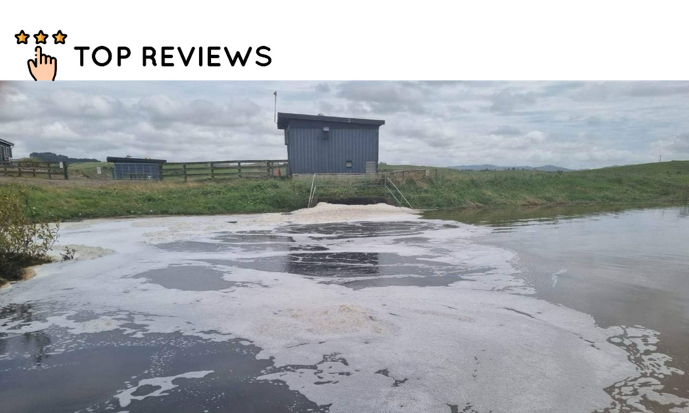 Most Polluted River in New Zealand