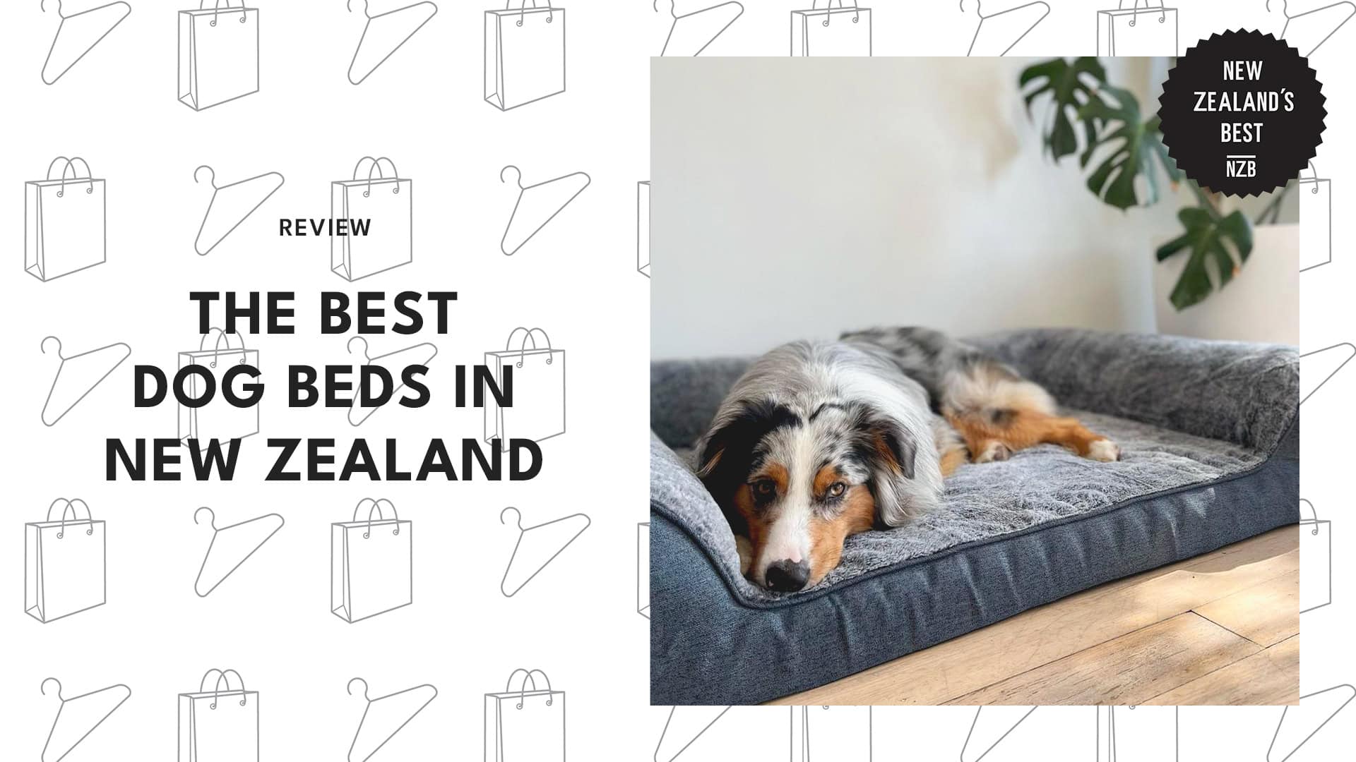 Best Dog Beds
