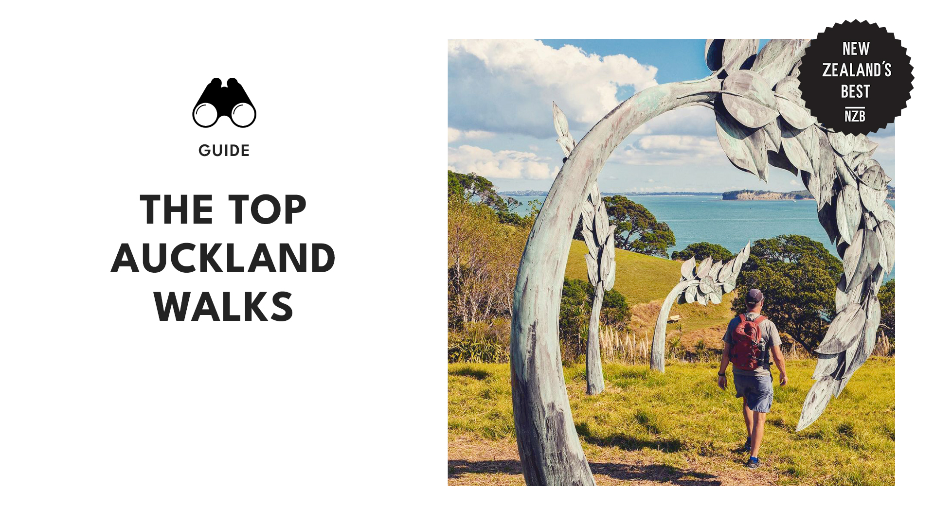 Best Walks in Auckland