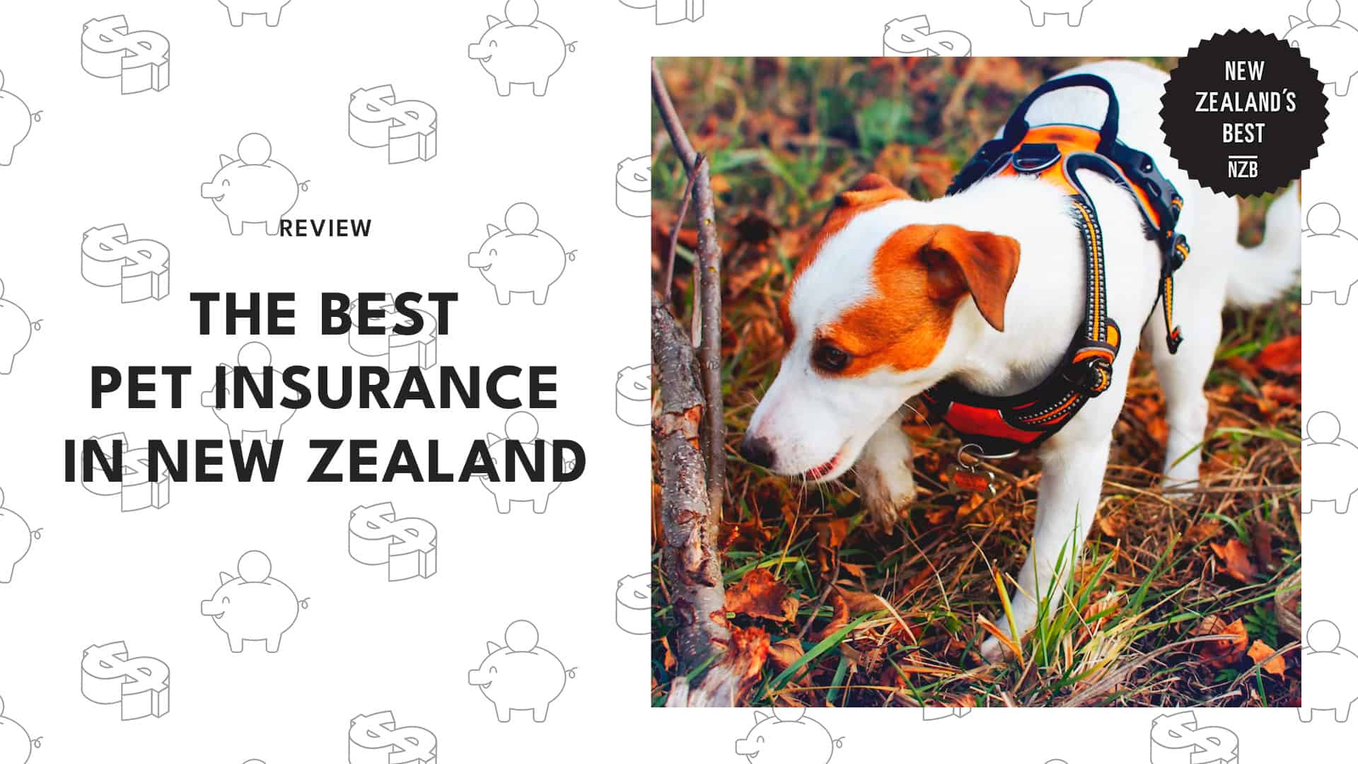 Best Pet Insurance