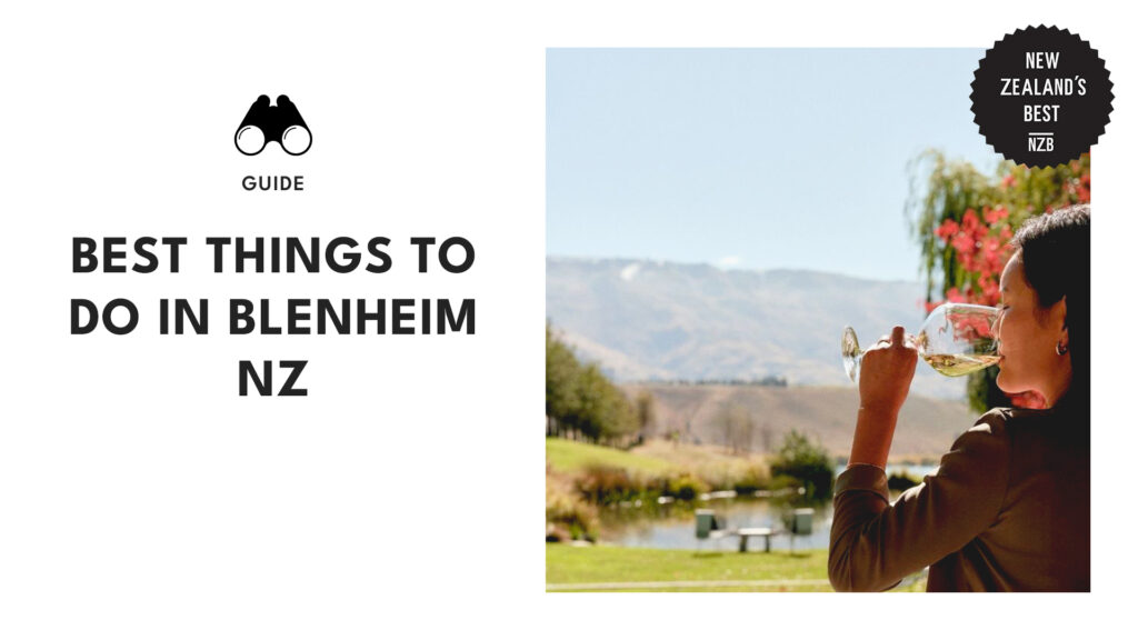 best-things-to-do-in-blenheim
