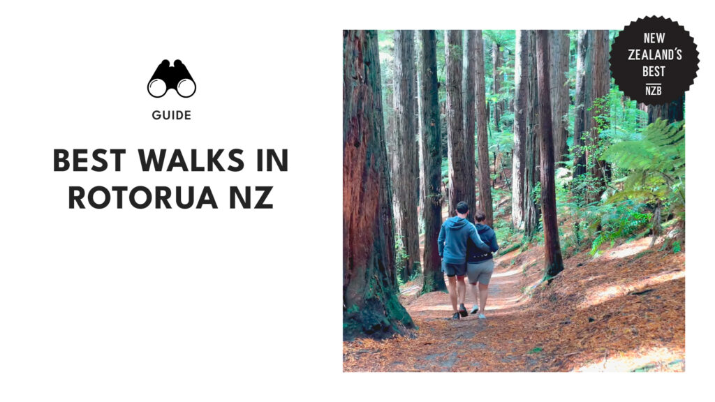 best-walks-rotorua