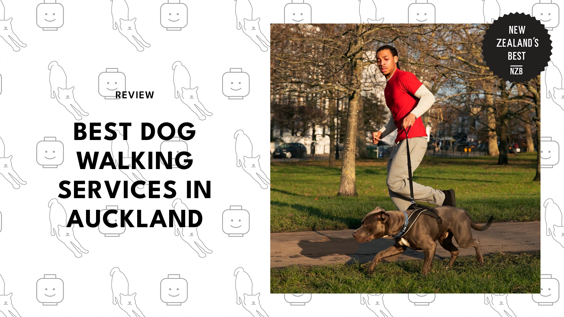 best-dog-walking-services-auckland