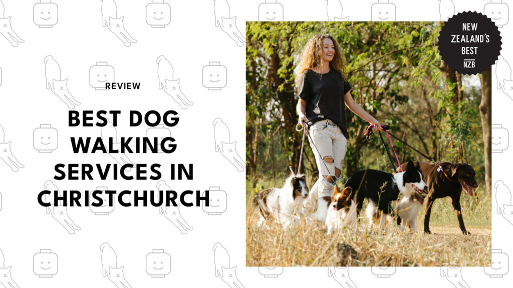 best-dog-walking-services-christchurch