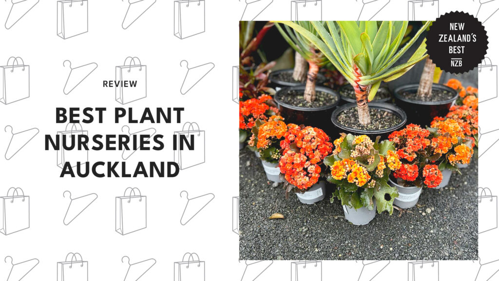 best-plant-nurseries-auckland