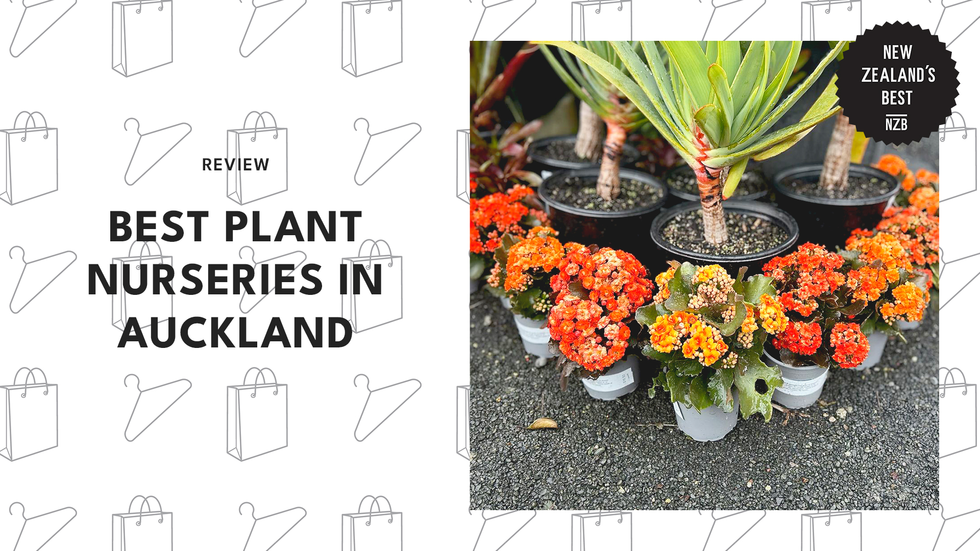 best-plant-nurseries-auckland