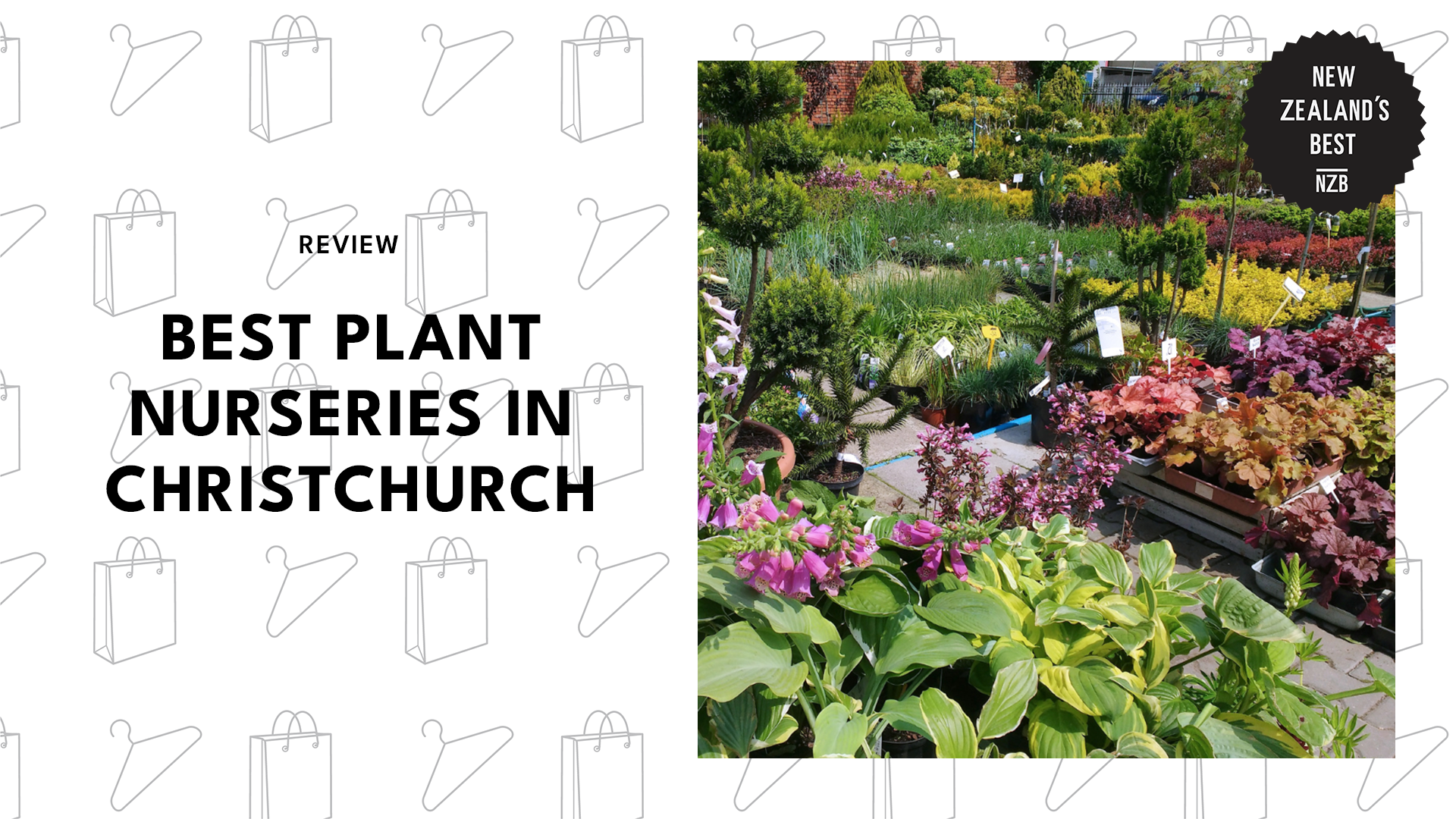 best-plant-nurseries-christchurch