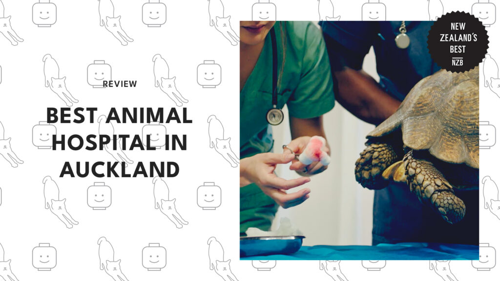 best-animal-hospital-auckland