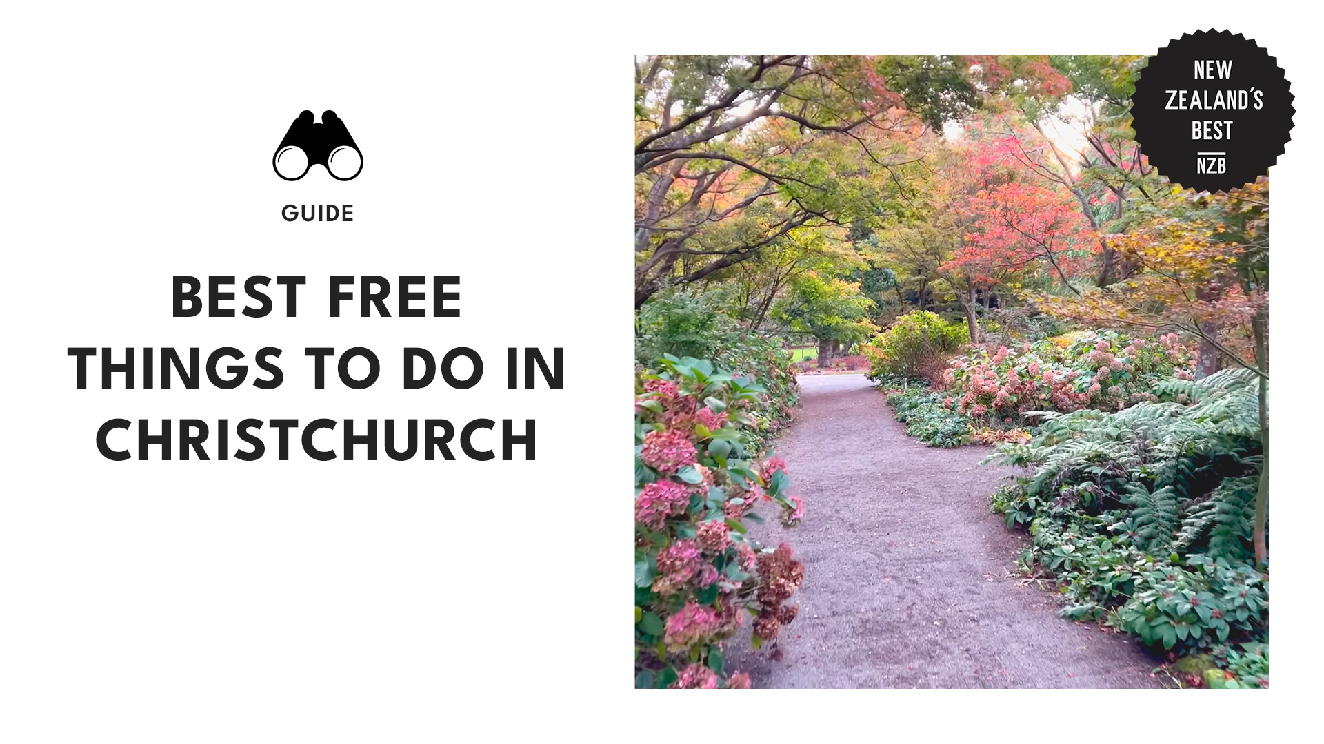best-free-things-to-do-christchurch-banner