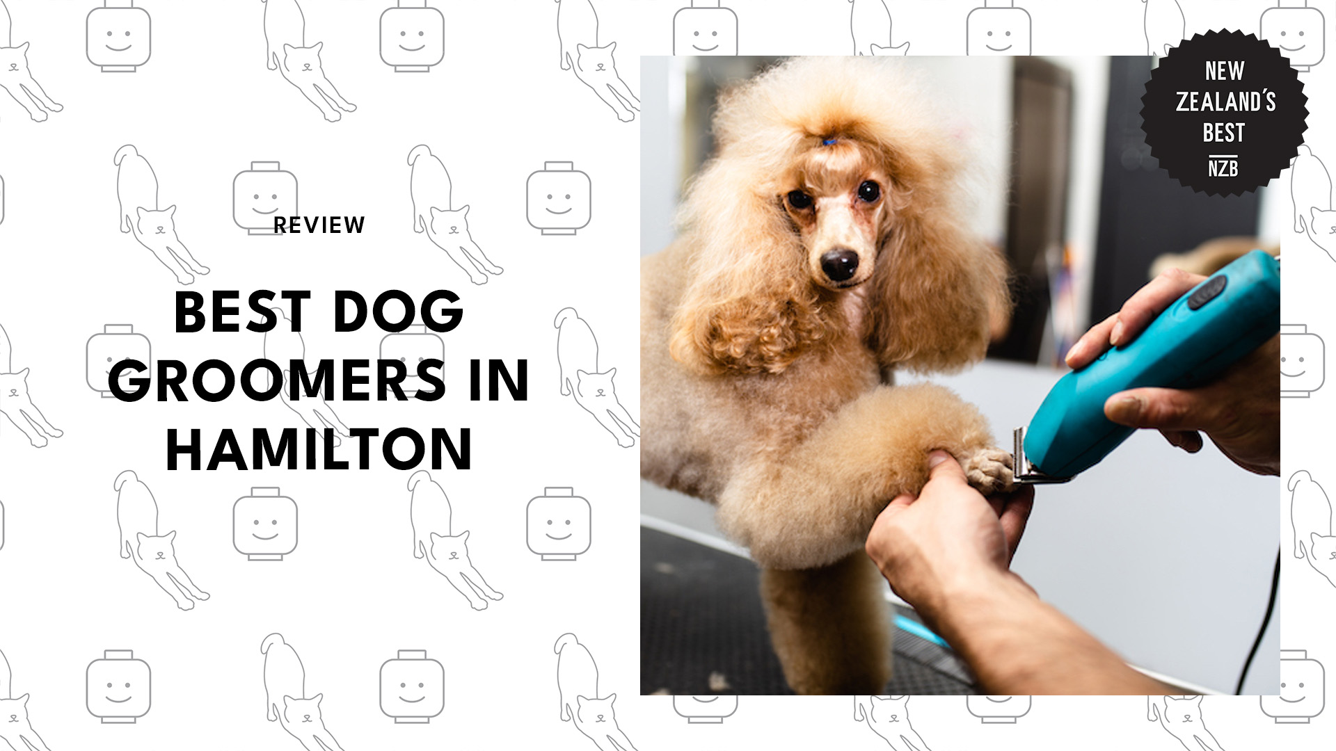best-dog-groomers-hamilton