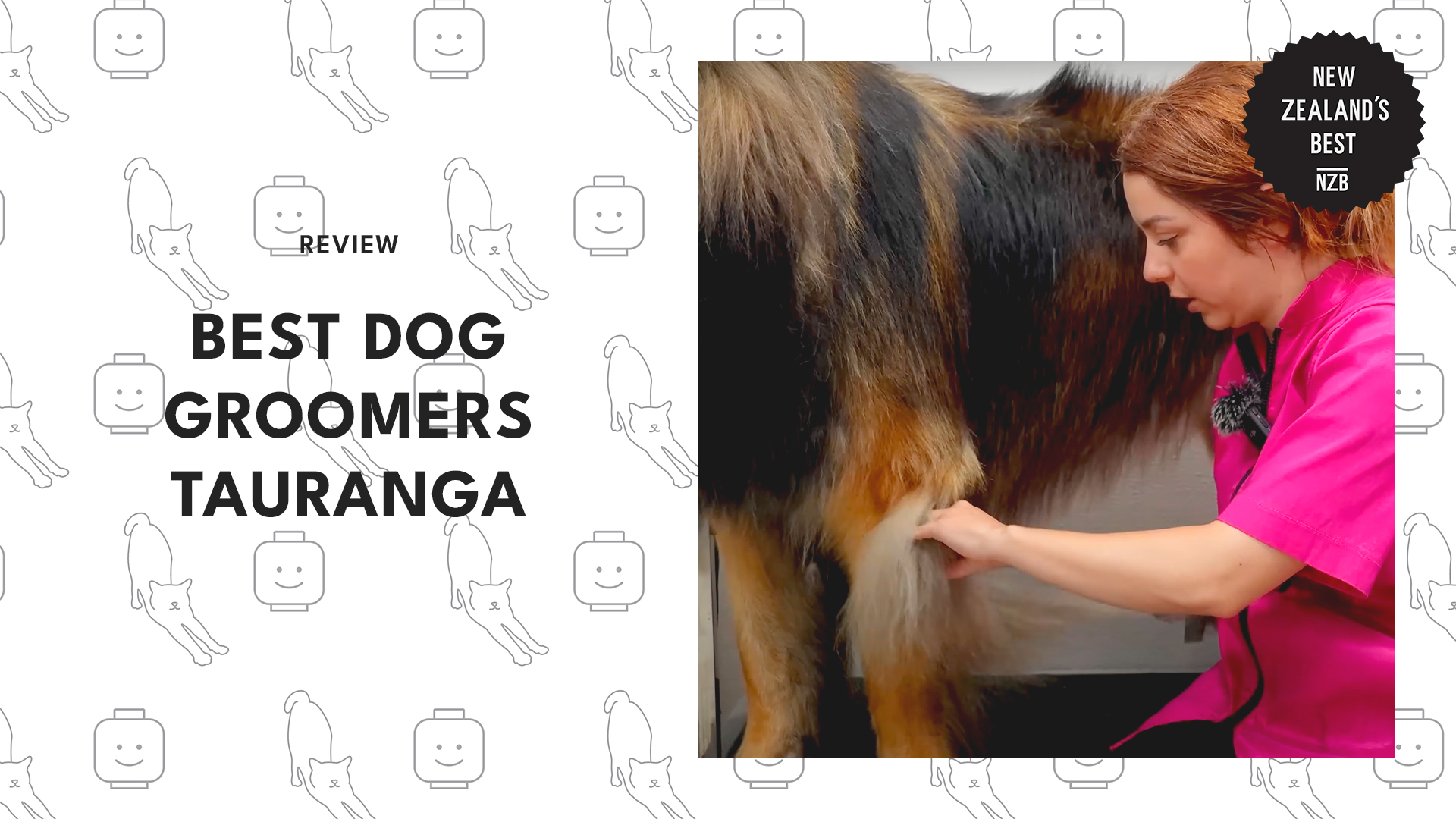 best-dog-groomers-tauranga