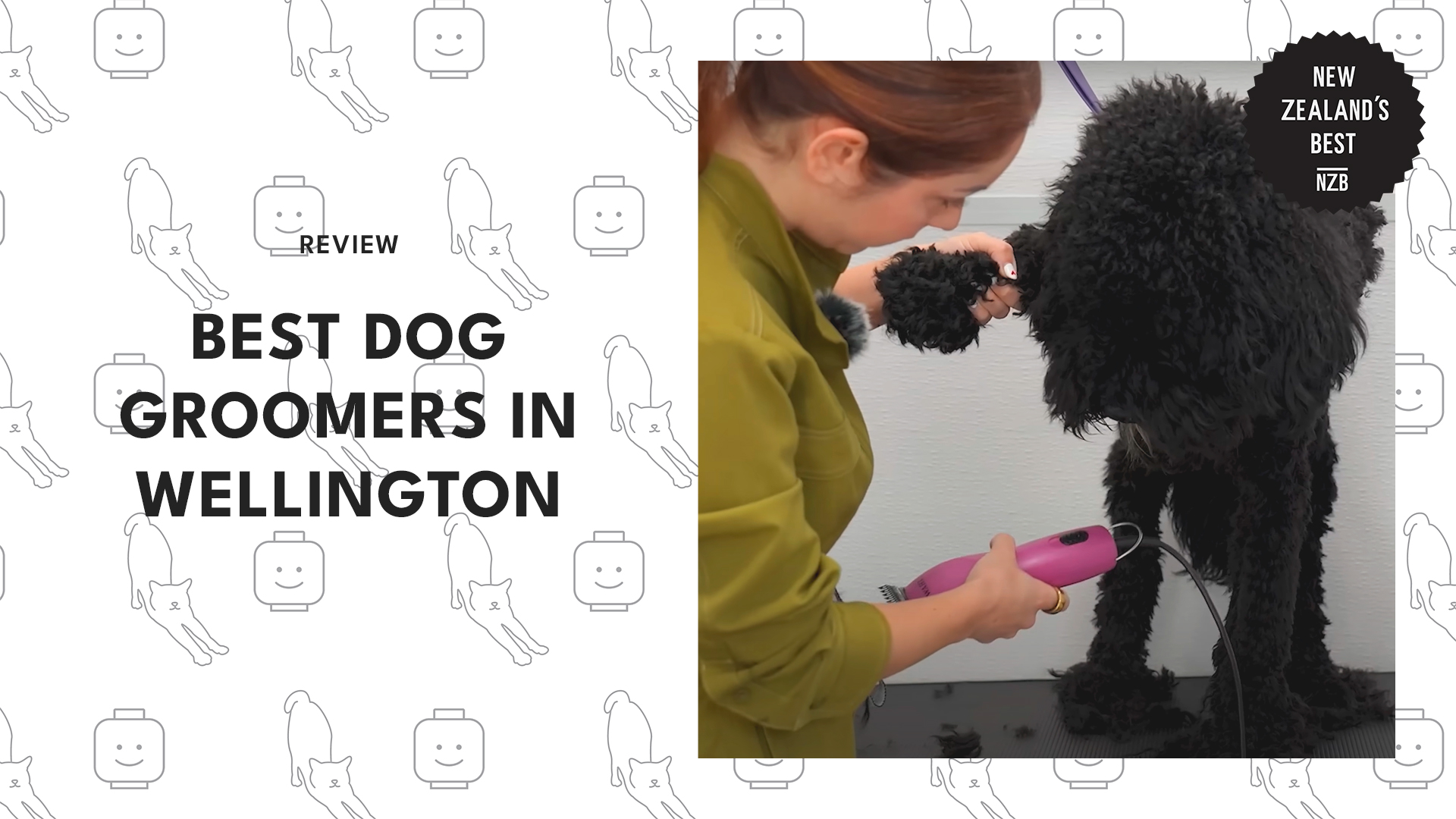 best-dog-groomers-wellington
