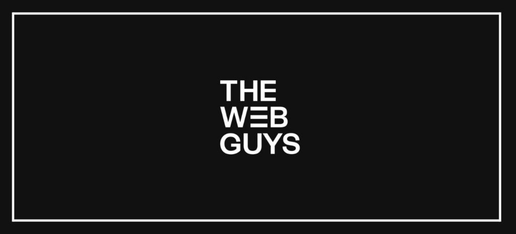 the web guys logo