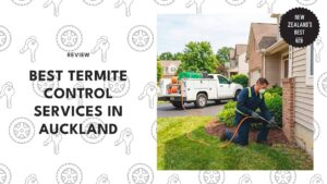 best-termite-control-auckland-banner
