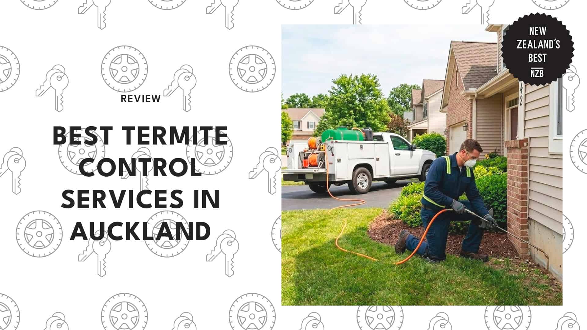 best-termite-control-auckland-banner