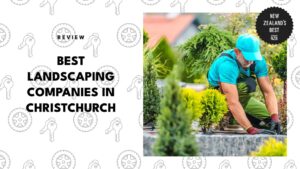landscaping-companies-in-christchurch