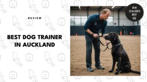 best-dog-trainer-auckland-banner