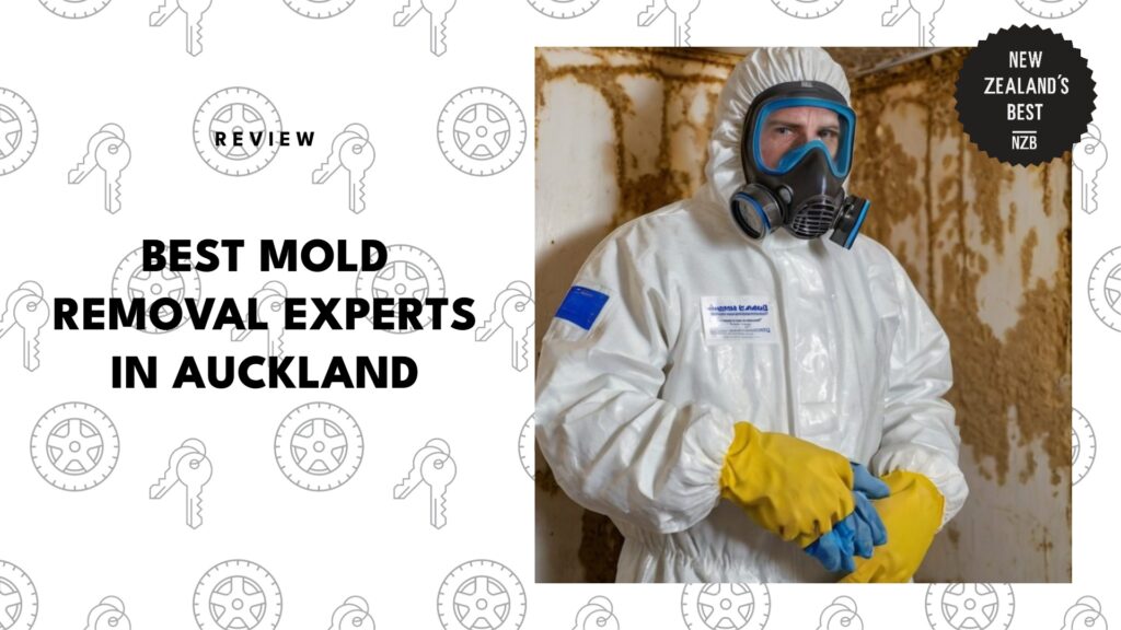 best-mold-removal-auckland-banner