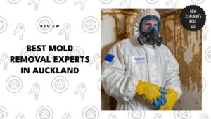 best-mold-removal-auckland-banner